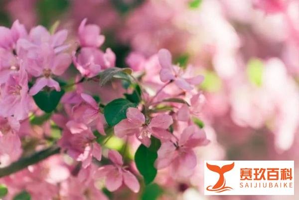 今年2月有29天，工资会有变化吗？