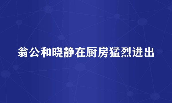 翁公和晓静在厨房猛烈进出