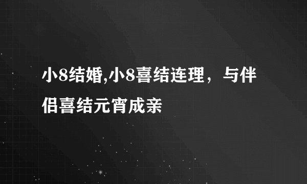 小8结婚,小8喜结连理，与伴侣喜结元宵成亲