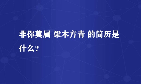 非你莫属 梁木方青 的简历是什么？