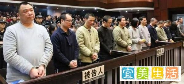 【3.15消保专题】警惕这些养老骗局，守住血汗钱！
