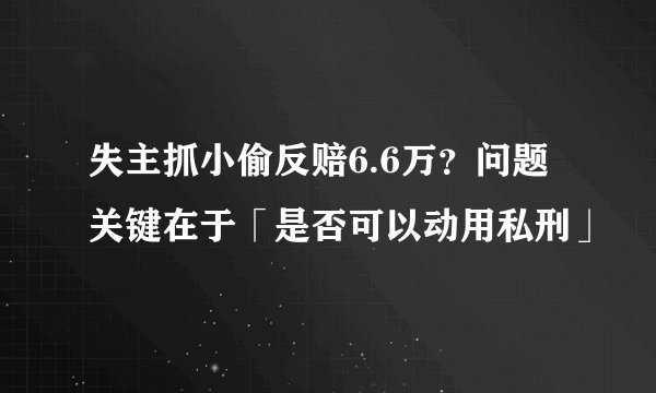 失主抓小偷反赔6.6万？问题关键在于「是否可以动用私刑」