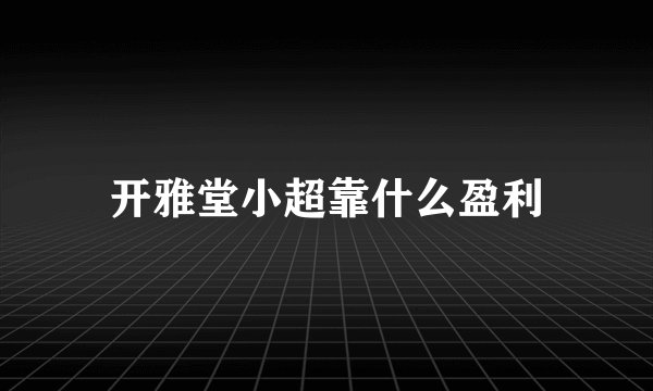 开雅堂小超靠什么盈利