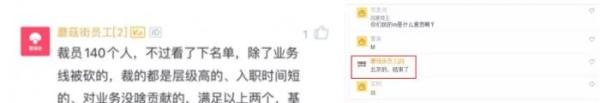 蘑菇街回应裁员#摄影师作品被标注为由华为手机拍摄 华为官方道歉#蒋凡回应与网红张大奕绯闻