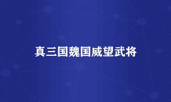 真三国魏国威望武将