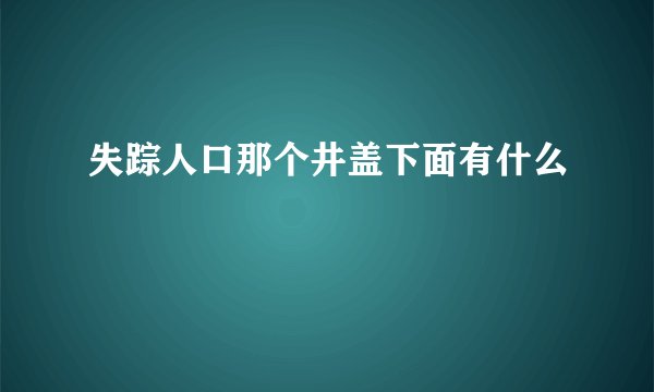 失踪人口那个井盖下面有什么