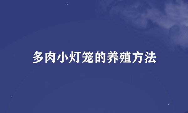 多肉小灯笼的养殖方法
