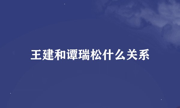 王建和谭瑞松什么关系