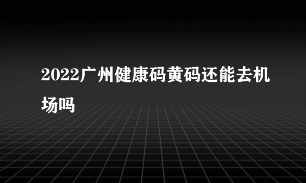 2022广州健康码黄码还能去机场吗