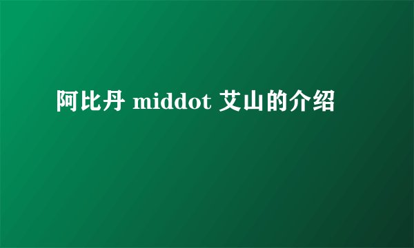 阿比丹 middot 艾山的介绍