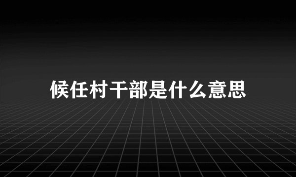 候任村干部是什么意思