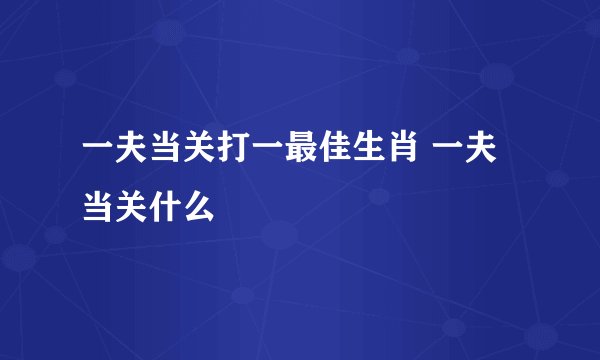 一夫当关打一最佳生肖 一夫当关什么