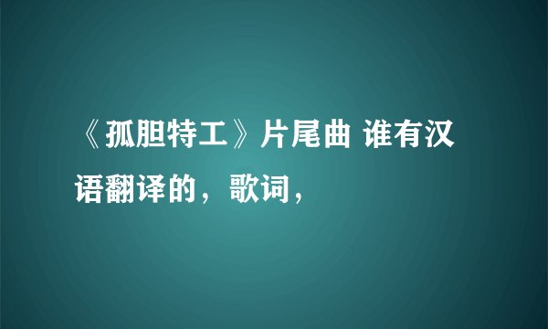 《孤胆特工》片尾曲 谁有汉语翻译的，歌词，