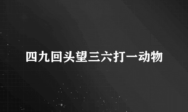 四九回头望三六打一动物