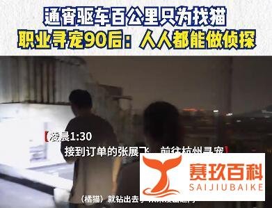 90后小伙驱车百里只为找猫 这是咋情况？