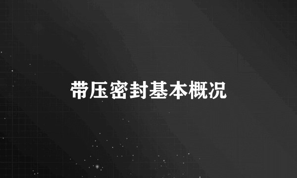 带压密封基本概况