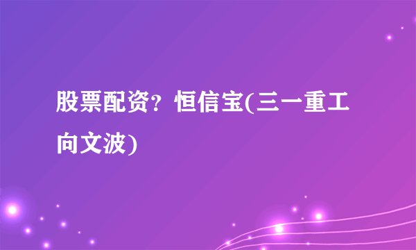 股票配资？恒信宝(三一重工向文波)