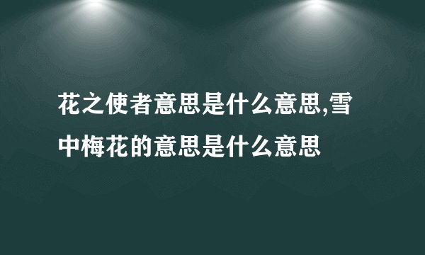 花之使者意思是什么意思,雪中梅花的意思是什么意思