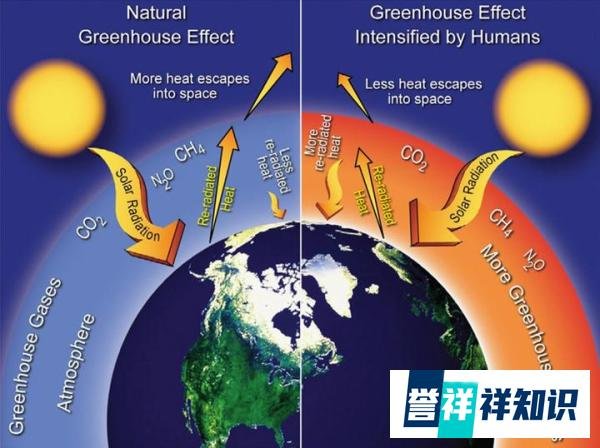 6只长颈鹿螺旋状死在地上,210万人被牵连,肯尼亚为何如此干旱?