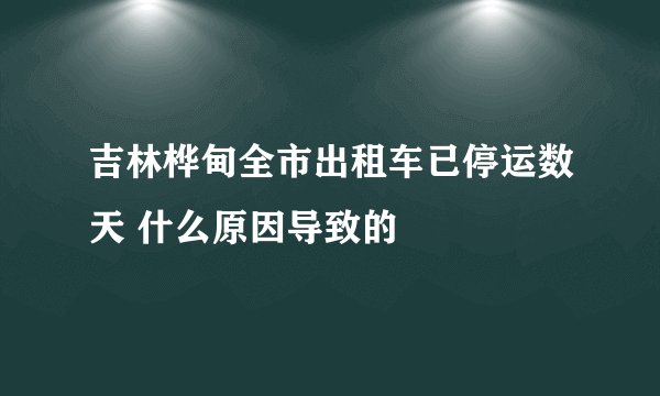 吉林桦甸全市出租车已停运数天 什么原因导致的
