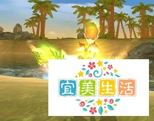 武林外传飞羽怎么加点