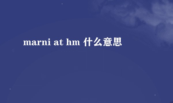 marni at hm 什么意思