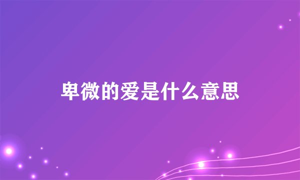 卑微的爱是什么意思