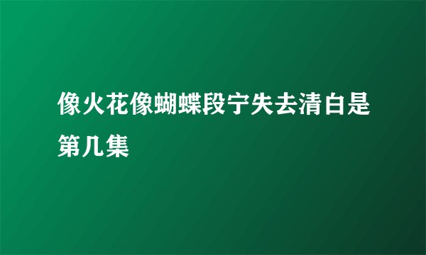 像火花像蝴蝶段宁失去清白是第几集