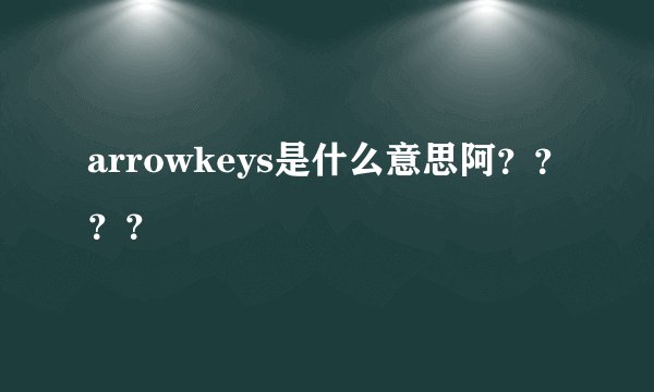 arrowkeys是什么意思阿？？？？