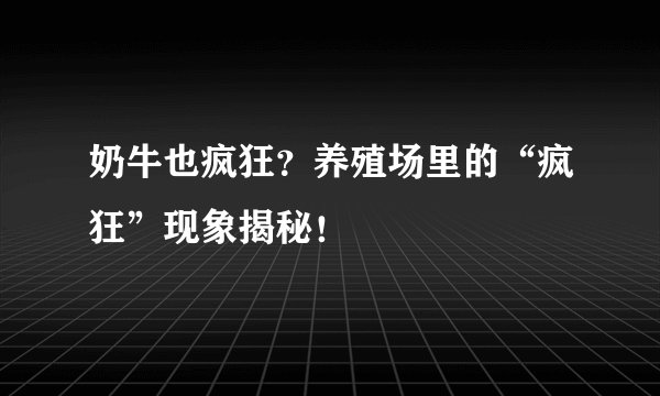 奶牛也疯狂？养殖场里的“疯狂”现象揭秘！