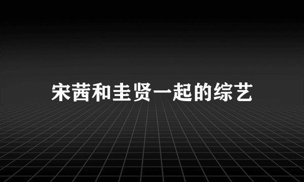 宋茜和圭贤一起的综艺