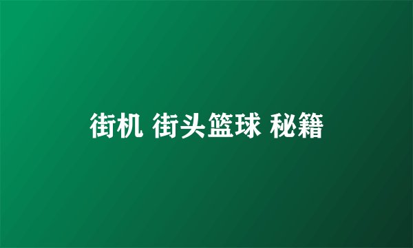 街机 街头篮球 秘籍