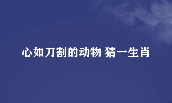 心如刀割的动物 猜一生肖
