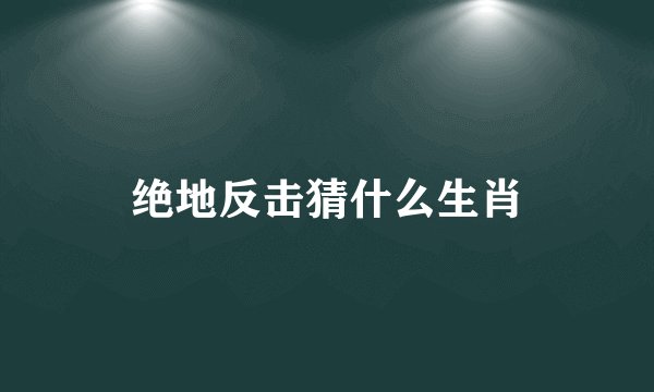 绝地反击猜什么生肖