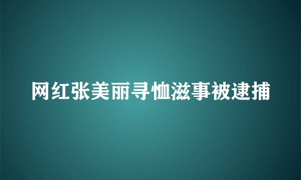 网红张美丽寻恤滋事被逮捕