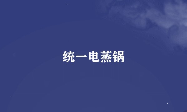 统一电蒸锅