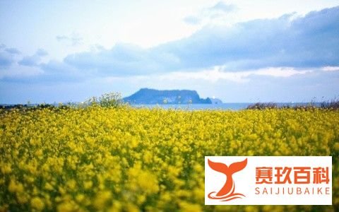 S6lol定位赛段位普遍低怎么办？