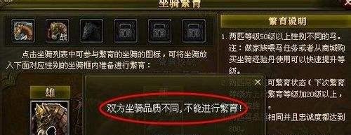御龙在天马怎么繁殖
