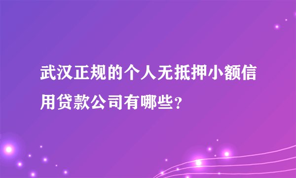 武汉正规的个人无抵押小额信用贷款公司有哪些？