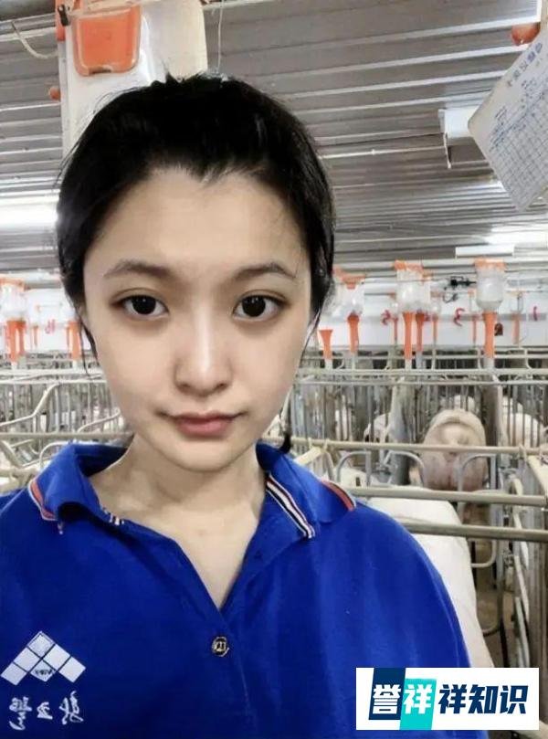 24岁高颜值女孩回应大学毕业养猪：学的兽医专业，每天6点起床，年薪10万