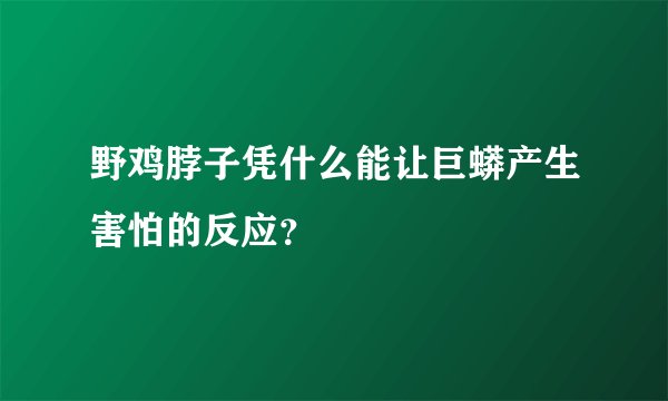 野鸡脖子凭什么能让巨蟒产生害怕的反应？