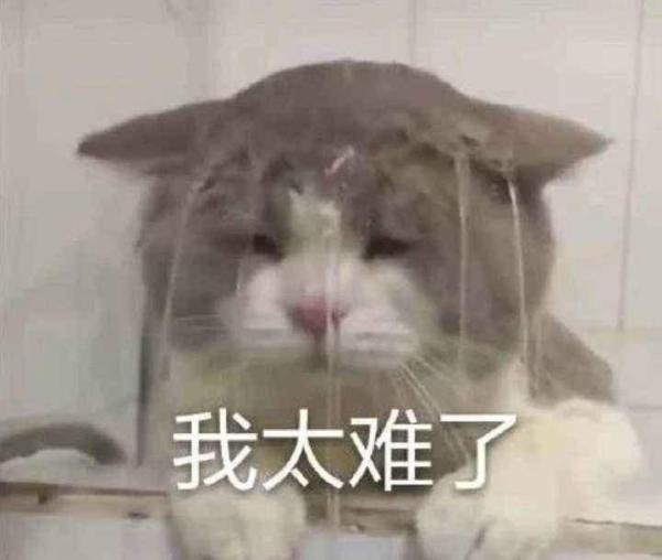 生于非典，考于新冠。