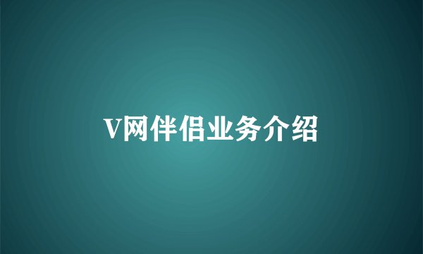 V网伴侣业务介绍