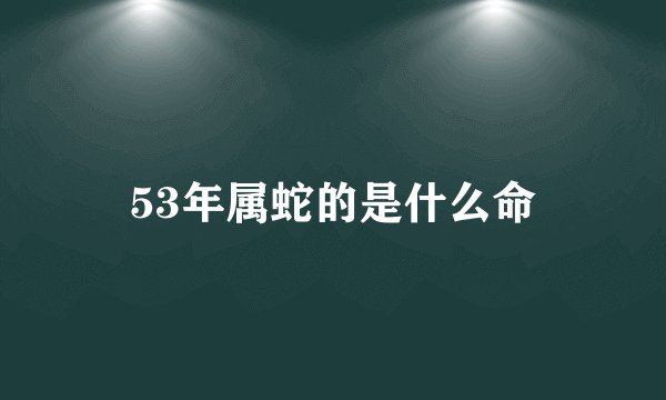 53年属蛇的是什么命