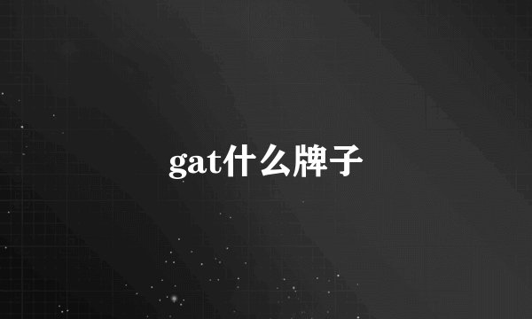gat什么牌子
