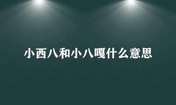小西八和小八嘎什么意思