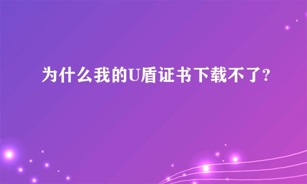 为什么我的U盾证书下载不了?