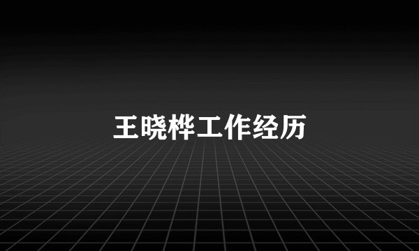 王晓桦工作经历