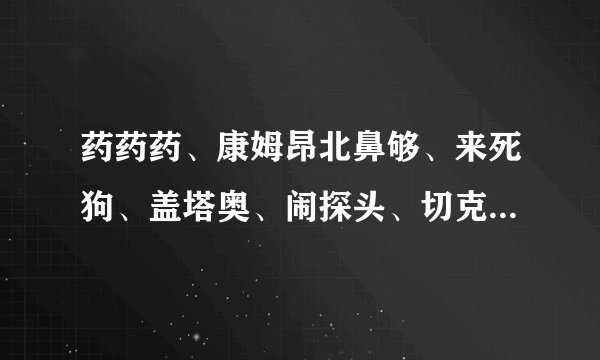 药药药、康姆昂北鼻够、来死狗、盖塔奥、闹探头、切克闹是什么意思