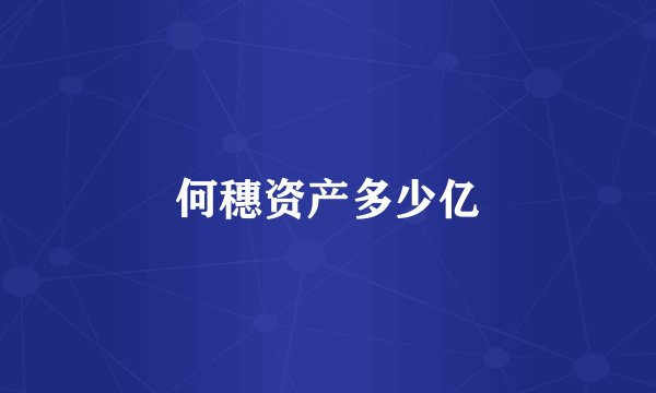 何穗资产多少亿